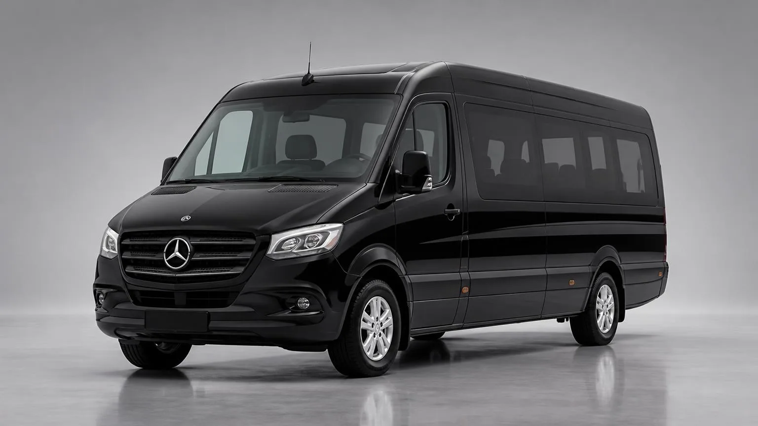Minibus 12 — Mercedes Sprinter ou similaire, chauffeur privé à Nice